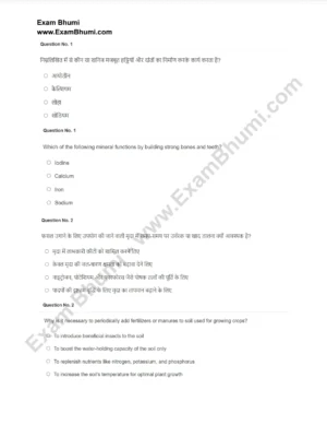 ✨ CET परीक्षा 2024-25 : 12वीं और स्नातक स्तर के सभी विषय! 📘📚